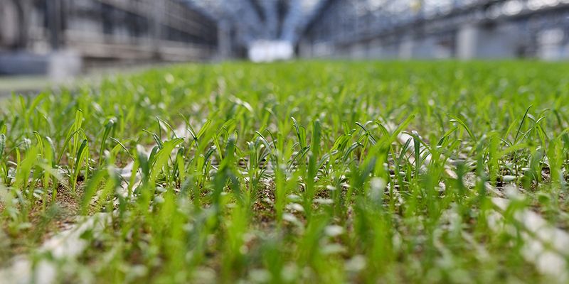 Начался прием заявок на участие в технологическом конкурсе Agro Tech Challenge