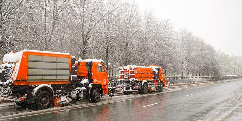Собянин: Городские службы работают в усиленном режиме из-за непогоды