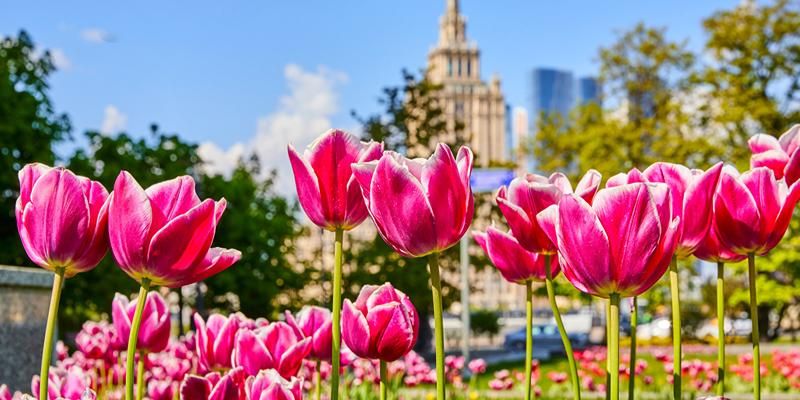 Мэр Москвы поздравил жителей столицы с Праздником Весны и Труда