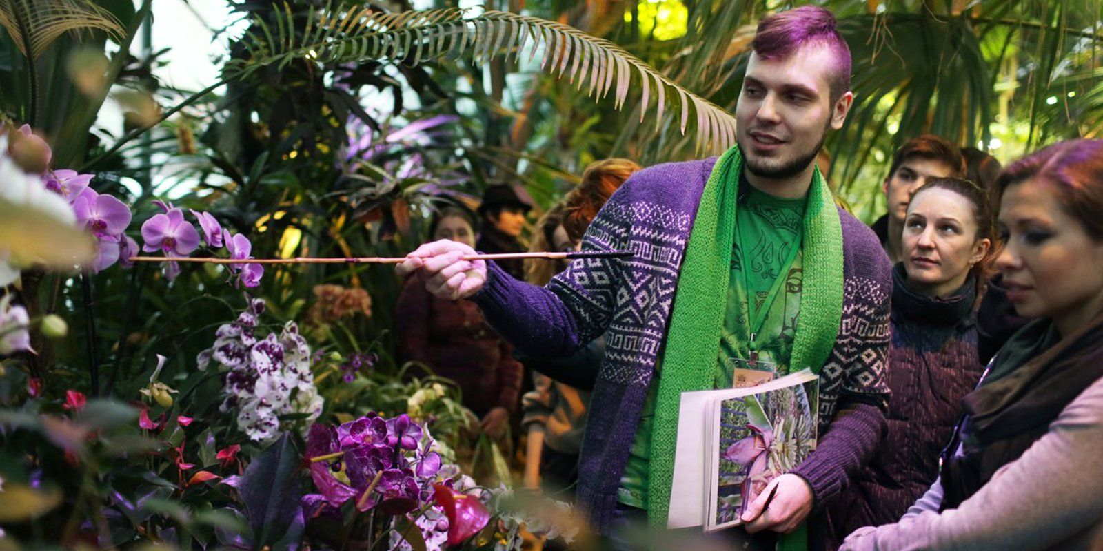 В «Аптекарском огороде» пройдет фестиваль орхидей «Тропическая зима». Официальный сайт Мэра Москвы