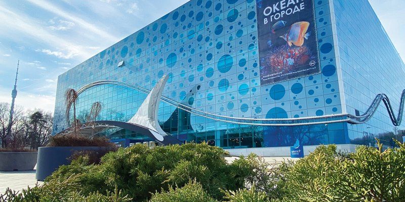 Ластоногий гид: морской лев Рокки приглашает на онлайн-прогулку по «Москвариуму»