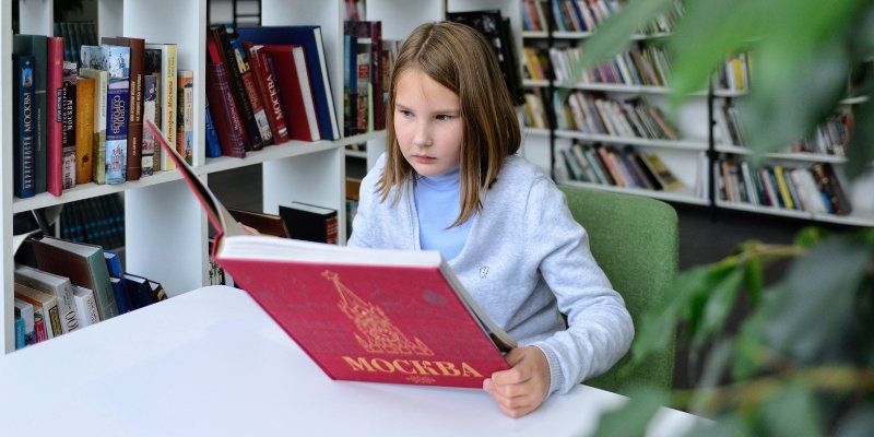 365 пингвинов и один всадник. Шесть книг для чтения с детьми