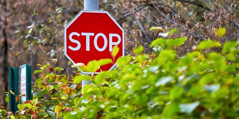 На нескольких улицах в четырех округах временно изменится схема движения
