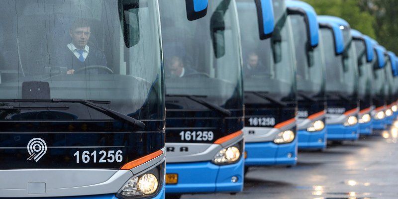 Бесплатные автобусы довезут болельщиков в «Лужники» на матч Россия — Аргентина