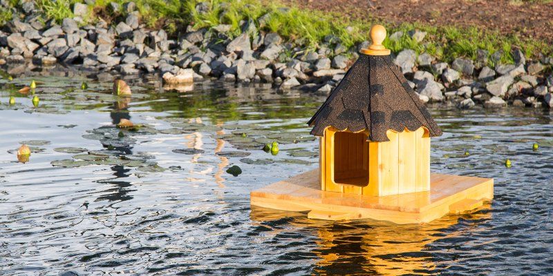 Утиные истории: в «Зарядье» появился дом для водоплавающих птиц