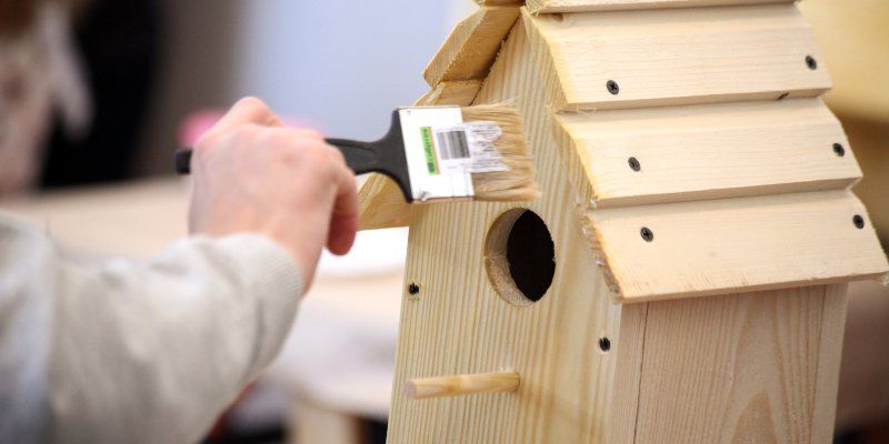 Домик для утки: москвичи могут смастерить гоголятник