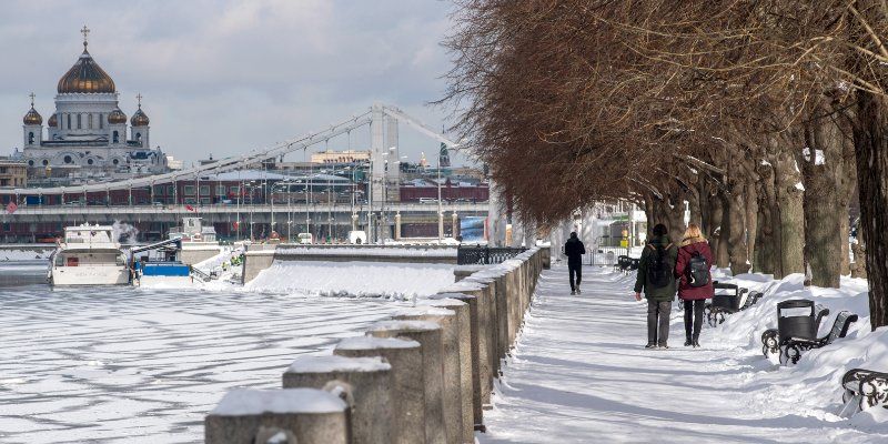 Какая погода ждет москвичей в пятницу