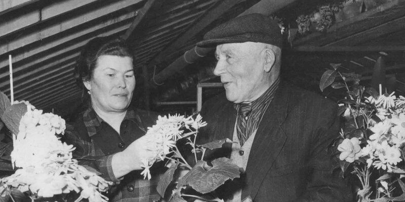Яблони в цвету: Главархив – о программе индивидуального садоводства в столице 1950-х годов