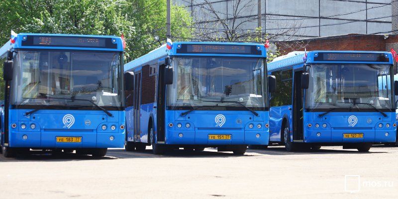 В Москве изучат возможность запуска беспилотных автобусов