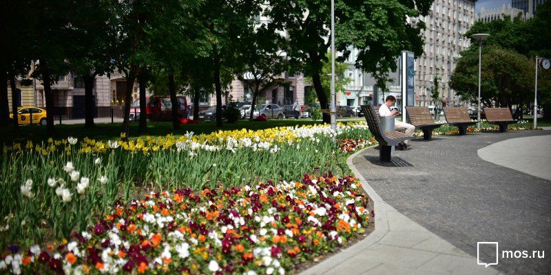 На Садовом кольце благоустройство стартует 6 июня