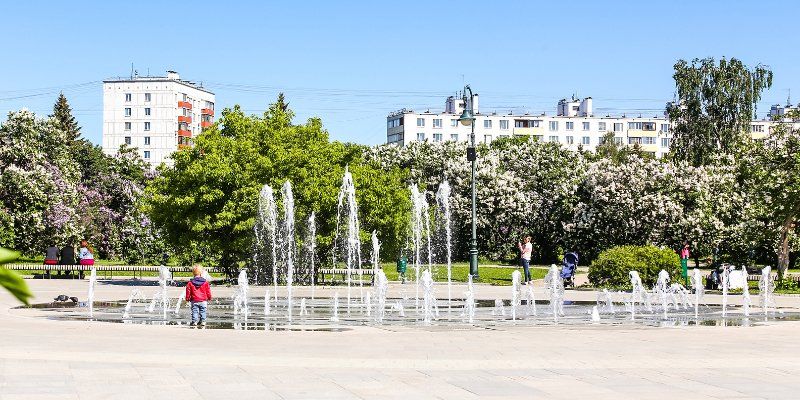 Победители аукционов смогут открыть в Измайловском парке 18 кафе и пунктов проката