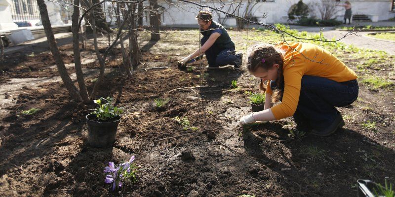 Парки, скверы и зеленые территории: где пройдет городской субботник 21 апреля