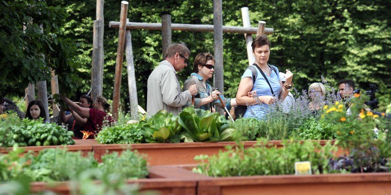 На юго-востоке откроется тактильный сад «Шестое чувство»