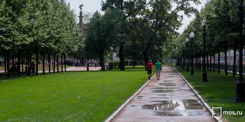 Антон Кульбачевский: Зелень делает Москву более комфортной и дружелюбной