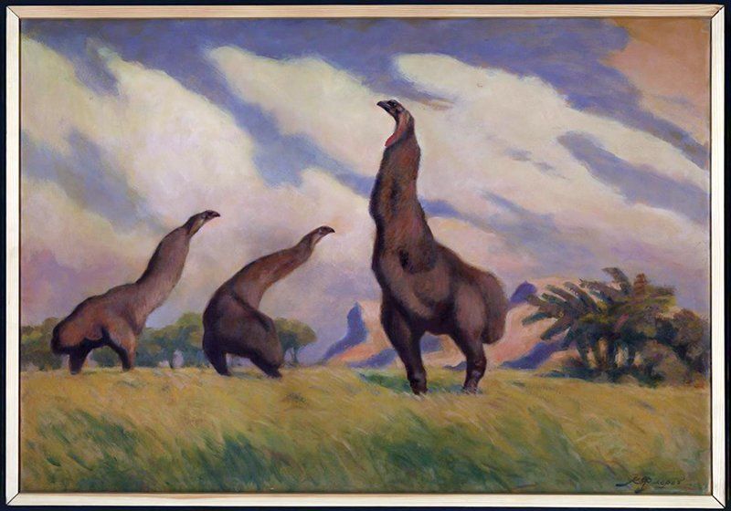 К. Флеров. Гигантская птица моа. 1962 год. Коллекция Биологического музея