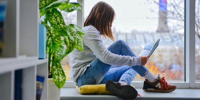 Лев, колдунья и Петсон с Финдусом. Что читать с детьми в преддверии Нового года