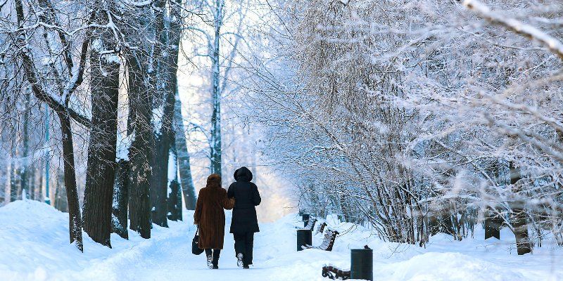 Какая погода будет в Москве 19 декабря