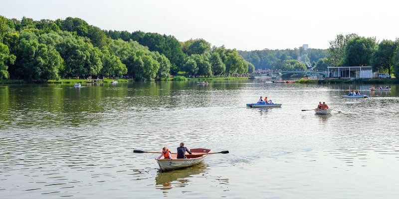 Лето вернулось: какая погода ждет москвичей на неделе