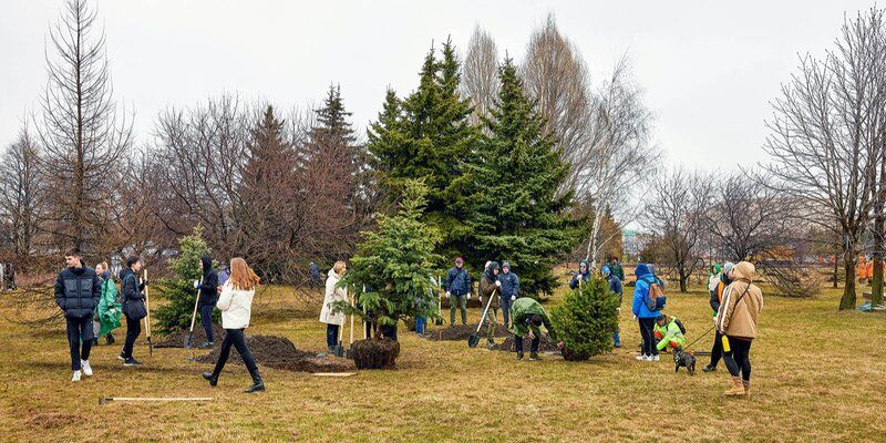 Около 800 деревьев и 5,5 тысячи кустарников высадили во время общегородского субботника