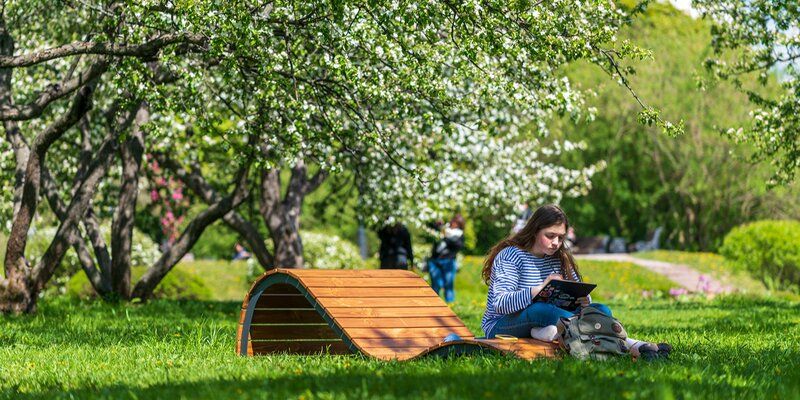 Тепло и дождливо: прогноз погоды на первые дни лета