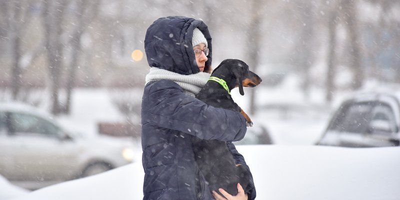 Облачность и мокрый снег: прогноз погоды на субботу