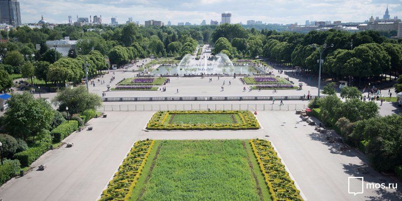 Новым директором Парка Горького назначена Марина Люльчук
