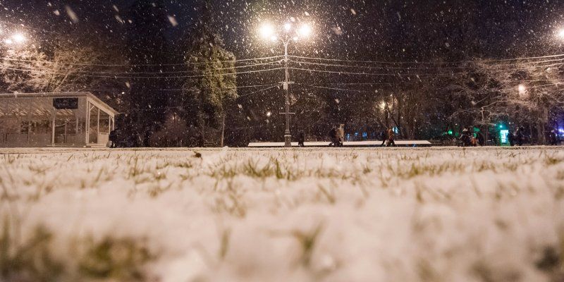 Две трети месячной нормы осадков может выпасть в Москве этой ночью