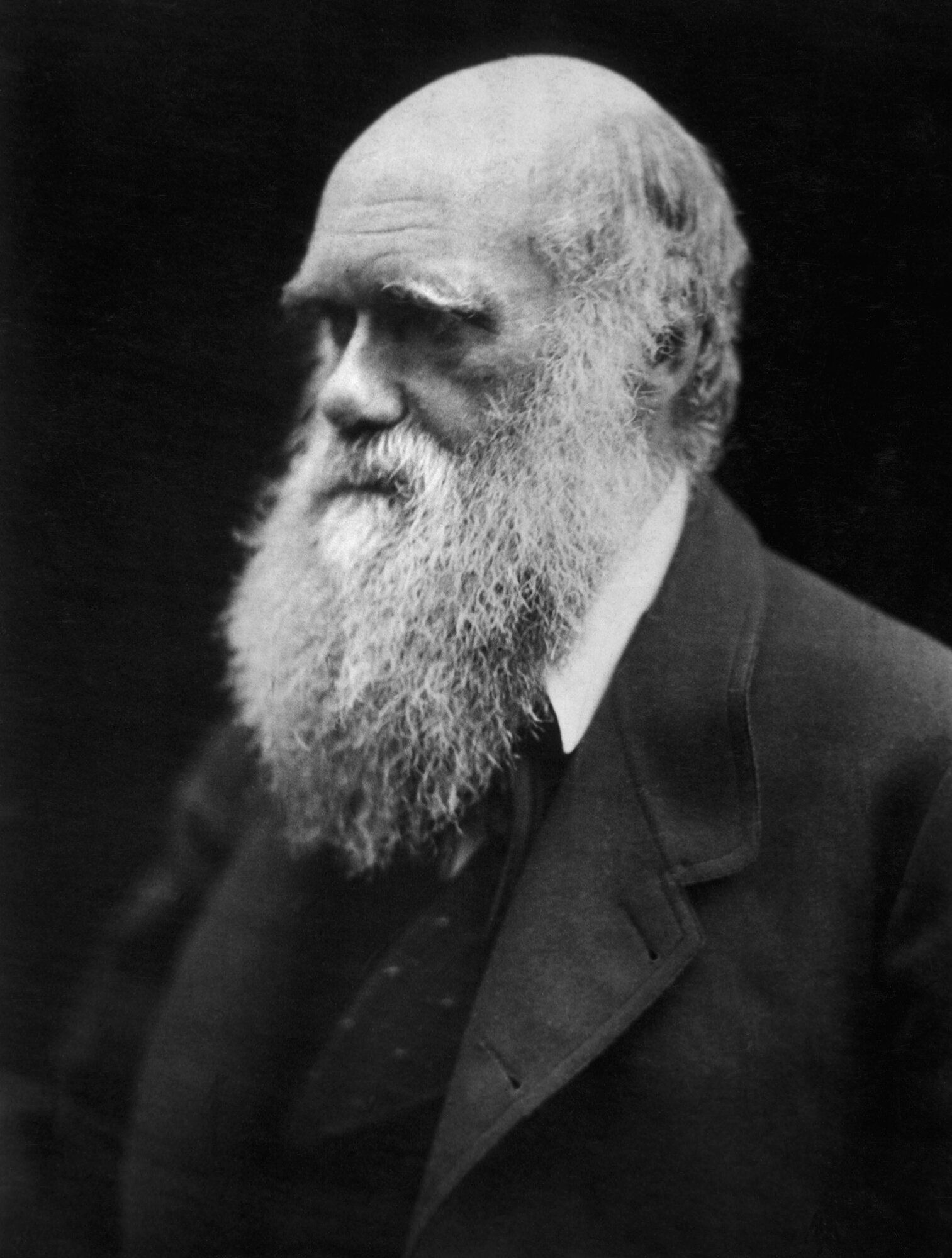 Чарлз Дарвин. 1868 год