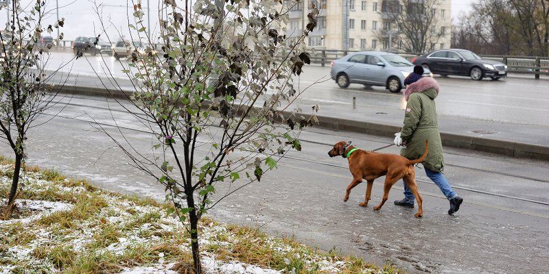 Небольшой снег и ветер: какой будет погода в выходные