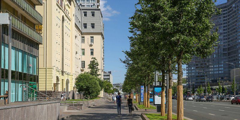 Ко Дню знаний Москву украсят 350 тематических плакатов