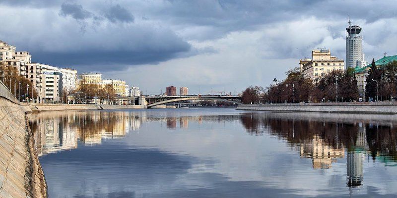 Сильный ветер в Москве повалил более 30 деревьев, пострадавших нет