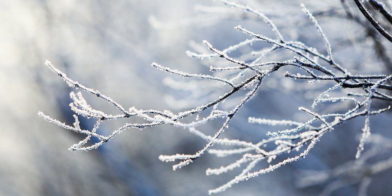 Облачно и снежно: прогноз погоды до субботы