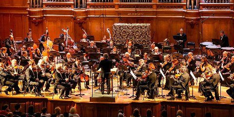 Разбираемся в классической музыке: как устроен симфонический оркестр