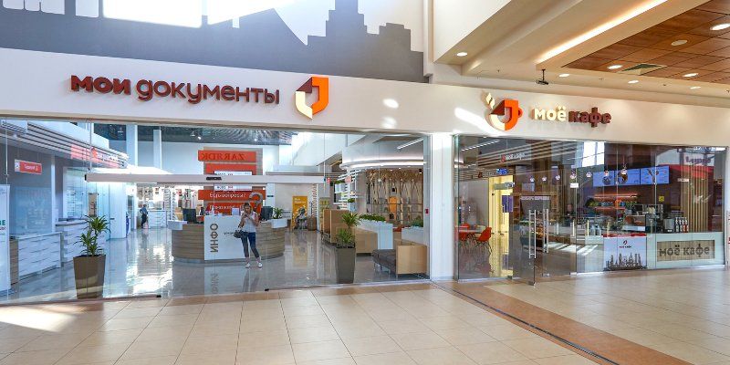 Высаживать кедр и работать с контекстной рекламой: чему еще научат в центрах «Мои документы» с 8 по 14 июля