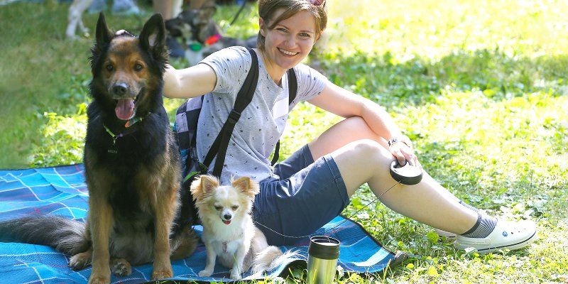 Балет в парке, футбол в кино и домашние питомцы — первые горячие выходные лета