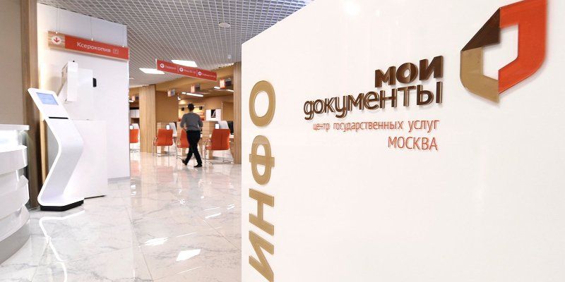Сажаем кедр и продвигаем бизнес: чем заняться в центрах «Мои документы»