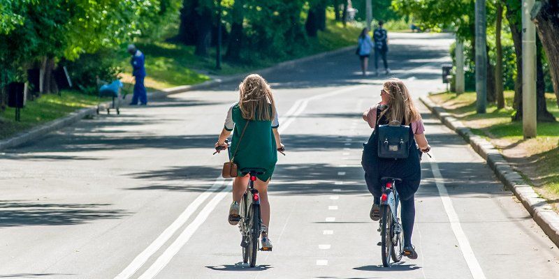 Сквозь зеркальный лабиринт и реликтовый лес. Живописные веломаршруты в парках