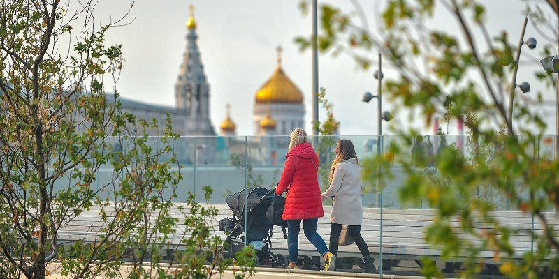 Первые заморозки: в ночь с субботы на воскресенье температура опустится ниже нуля