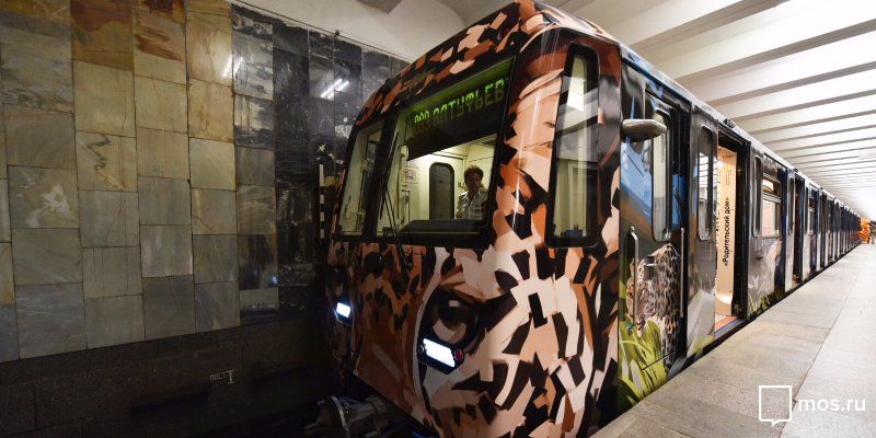 В День тигра в метро запустили новый «Полосатый экспресс»