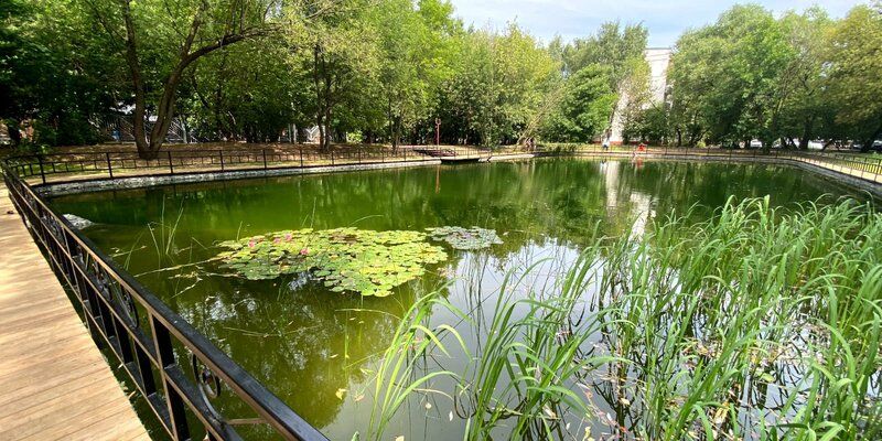 Водоемы с историей: как благоустроили московские пруды в прошлом году