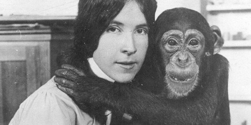 Meet Nadezhda Ladygina-Kohts: The first woman to study animal psychology
