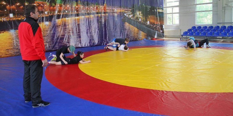 Центр борьбы появится возле спорткомплекса «Лужники»
