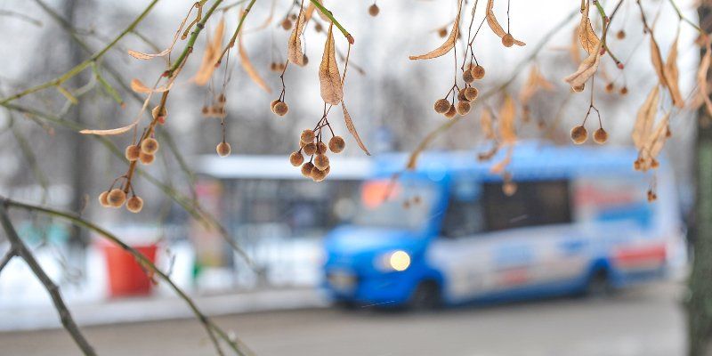 В микрорайоне В Троицка перенесут остановку