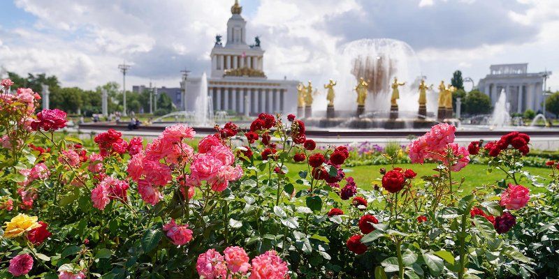 Открывается пятый сезон образовательного проекта «Знание. ВДНХ»