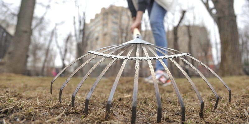 Сад имени Баумана приведут в порядок весной
