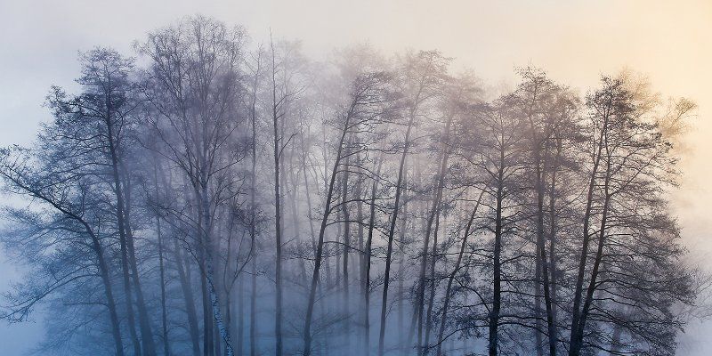 Плохая видимость: горожан предупреждают о тумане