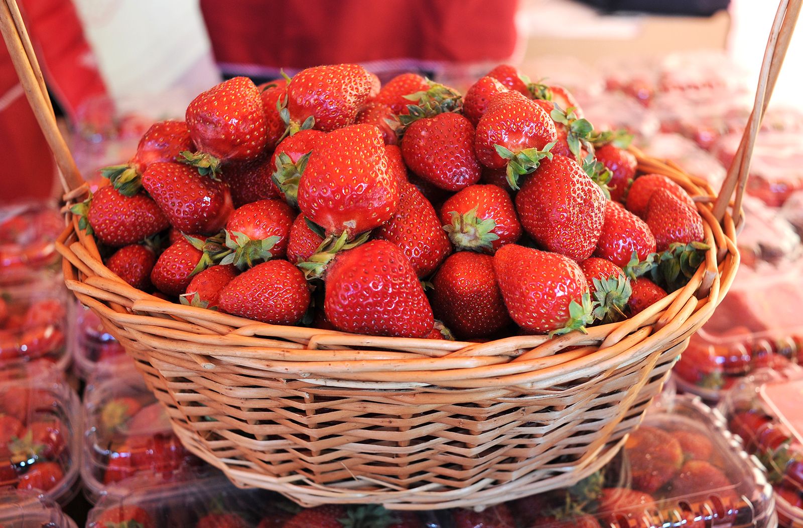 Мос ягода официальный сайт балаклава плюшевая с ушками
