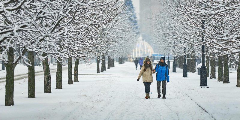 По местам Бориса Пастернака: на портале «Узнай Москву» появился новый маршрут