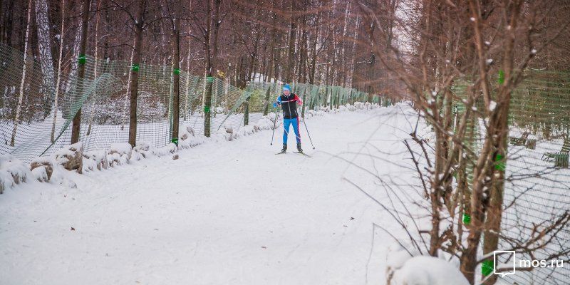 Всепогодная лыжная трасса открылась в парке «Сокольники»