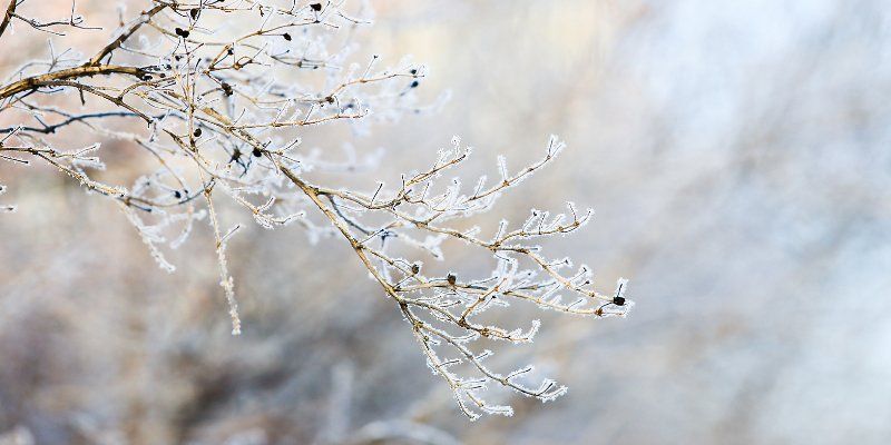 Погода в выходные: в столице будет облачно и ветрено